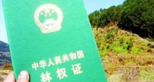 2021安徽省林权管理条例修正【全文】
