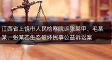 江西省上饶市人民检察院诉张某甲、毛某某、张某乙生态破坏民事公益诉讼案