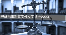 寻衅滋事刑事案件立案标准2023