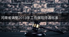 河南省调整2013年工伤保险待遇标准
