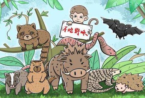 北京市野生动物保护管理条例最新【全文】