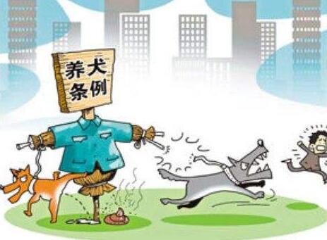 2020年最新天津市养犬管理条例全文【修订】
