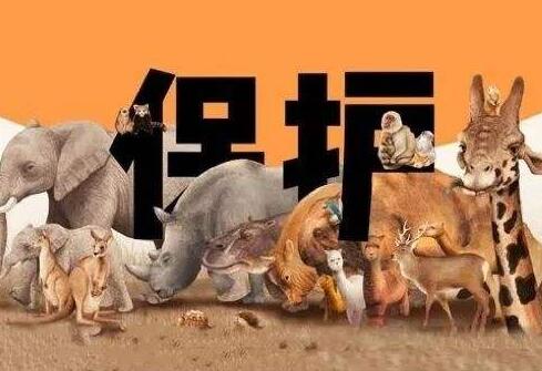 中华人民共和国野生动物法2021