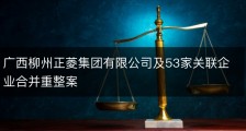 广西柳州正菱集团有限公司及53家关联企业合并重整案