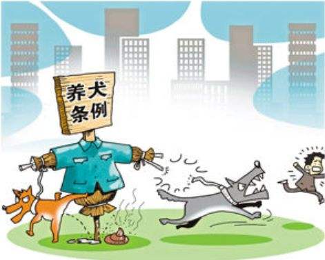 2019武汉市修订武汉市养犬管理条例