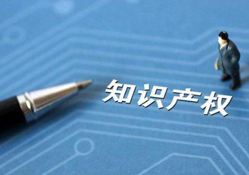南京市知识产权促进和保护条例