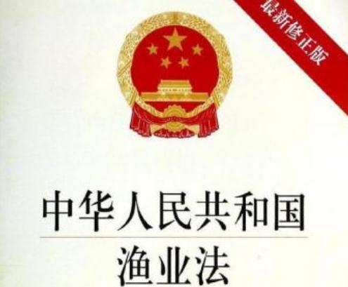 2020最新中华人民共和国渔业法全文【修正完整版】