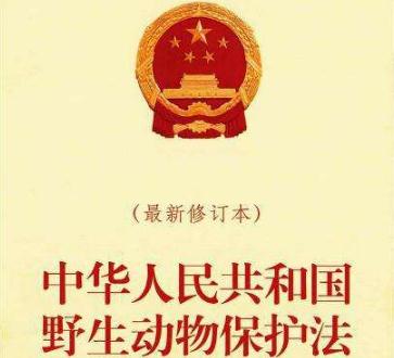 2020中华人民共和国野生动物保护法全文【第三次修正】