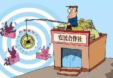 2020新河北省农民合作社条例【全文】