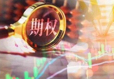 最新股权期权激励协议书范本【通用版】