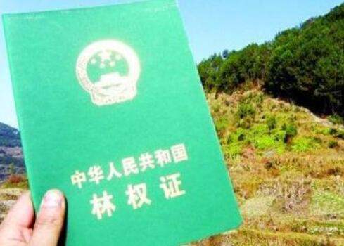 安徽省林权管理条例
