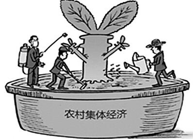 四川省农村集体经济组织条例最新【全文】