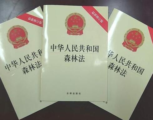 中华人民共和国森林法释义：第四十三条