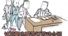 2019最新试用期劳动合同范本【通用版】