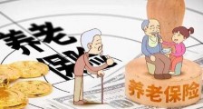 山西省城乡居民补充养老保险条例全文