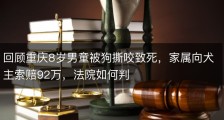 回顾重庆8岁男童被狗撕咬致死，家属向犬主索赔92万，法院如何判