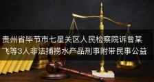 贵州省毕节市七星关区人民检察院诉曾某飞等3人非法捕捞水产品刑事附带民事公益诉讼案