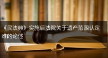 《民法典》实施后法院关于遗产范围认定难的论述