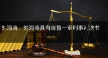 刘海涛、刘海涛具有自首一审刑事判决书