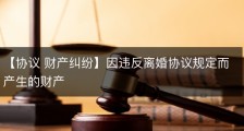【协议 财产纠纷】因违反离婚协议规定而产生的财产