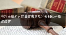 专利申请怎么回复审查意见？专利纠纷律师解答