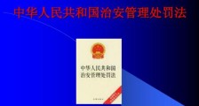 2019中华人民共和国治安管理处罚法【全文细则】