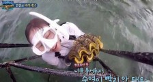 韩国女演员李烈音泰国捕食巨型蛤蜊 或将判刑5年