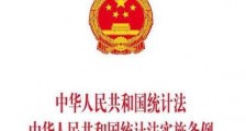 2019最新中华人民共和国统计法实施条例全文