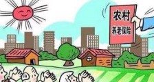 2020年广东省社会养老保险条例全文【最新版】