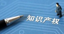 2020最新南京市知识产权促进和保护条例全文【修正版】