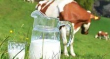 2020最新生鲜乳生产收购管理办法全文【修正版】