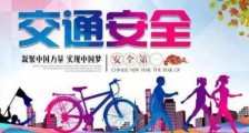 2020深圳经济特区道路交通安全管理条例全文