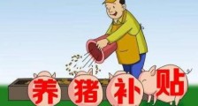 【养猪补贴新政策】2020年国家最新养猪政策