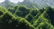 2020吉林长白山国家级自然保护区条例全文