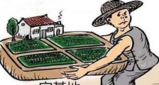 2020河北省最新农村宅基地管理条例全文【修正版】