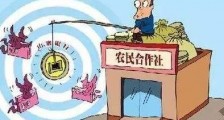 2020新河北省农民合作社条例【全文】