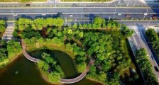 最新广东省城市绿化条例全文【修正版】