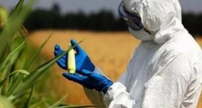 农业转基因生物安全管理条例最新2020【修订】