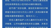 广东4儿童刮花45辆车 警方：其中37辆车修复价约12万
