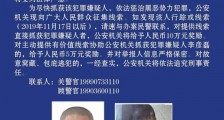 哈尔滨警方悬赏10万元抓捕涉黑在逃犯罪嫌疑人