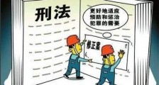 中华人民共和国刑法修正案(二)释义
