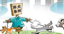 2020年最新天津市养犬管理条例全文【修订】