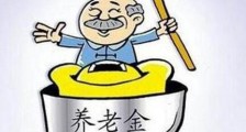 深圳经济特区社会养老保险条例实施细则【修正】