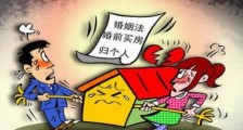 中华人民共和国婚姻法释义:第20条内容、主旨及释义