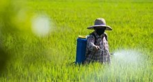 2021农作物病虫害防治条例全文