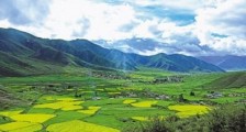 2021西藏自治区国家生态文明高地建设条例【全文】