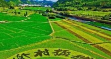 中华人民共和国乡村振兴促进法2021最新【全文】