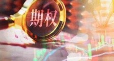 最新股权期权激励协议书范本【通用版】