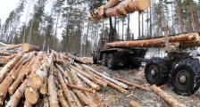 2021森林采伐更新管理办法修订【全文】