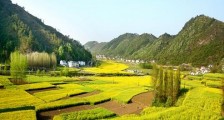 2021年中华人民共和国乡村振兴促进法全文